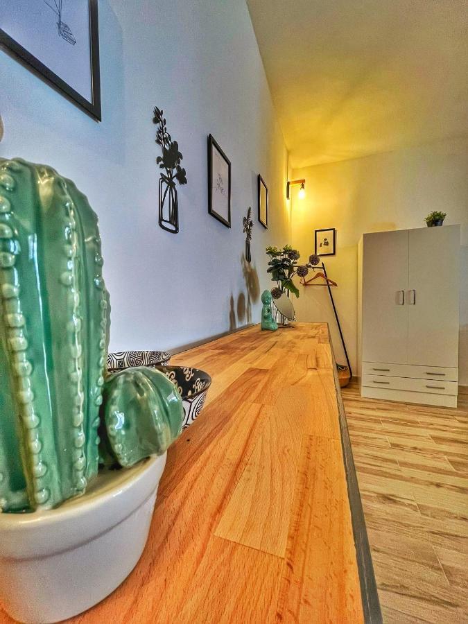 Ingrosso House Mini Loft Apartamento